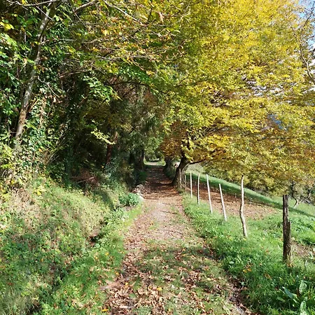 Du Ruisseau Les Adrets